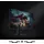 Samsung Odyssey G5 G50D LS27DG502EUXEN 27''