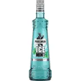 Puschkin Ice Mint 15% Vol. 0,7l