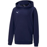 Puma Kinder teamGOAL 23 Casuals Hoody Jr Pullover, Peacoat, 116