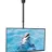 TV Deckenhalterung 26-65 Zoll LCD LED Plasma höhenverstellbar,