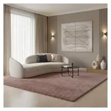 KADIMA DESIGN Teppich Hochflor Shaggy Uni Style 280 x 370 cm Rosa