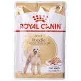 Royal Canin Poodle Adult Hundefutter nass