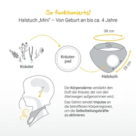 löwenkind Einsteigerbox mit Halstuch 'Baby' - Harmonie und Rotznäschen 2x5 St Kräuter