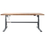 Proregal Höhenverstellbare Werkbank Giant Rhino | HxBxT 70-117x200x75cm | Traglast 300kg | Staubgrau