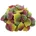 Frisia 175g