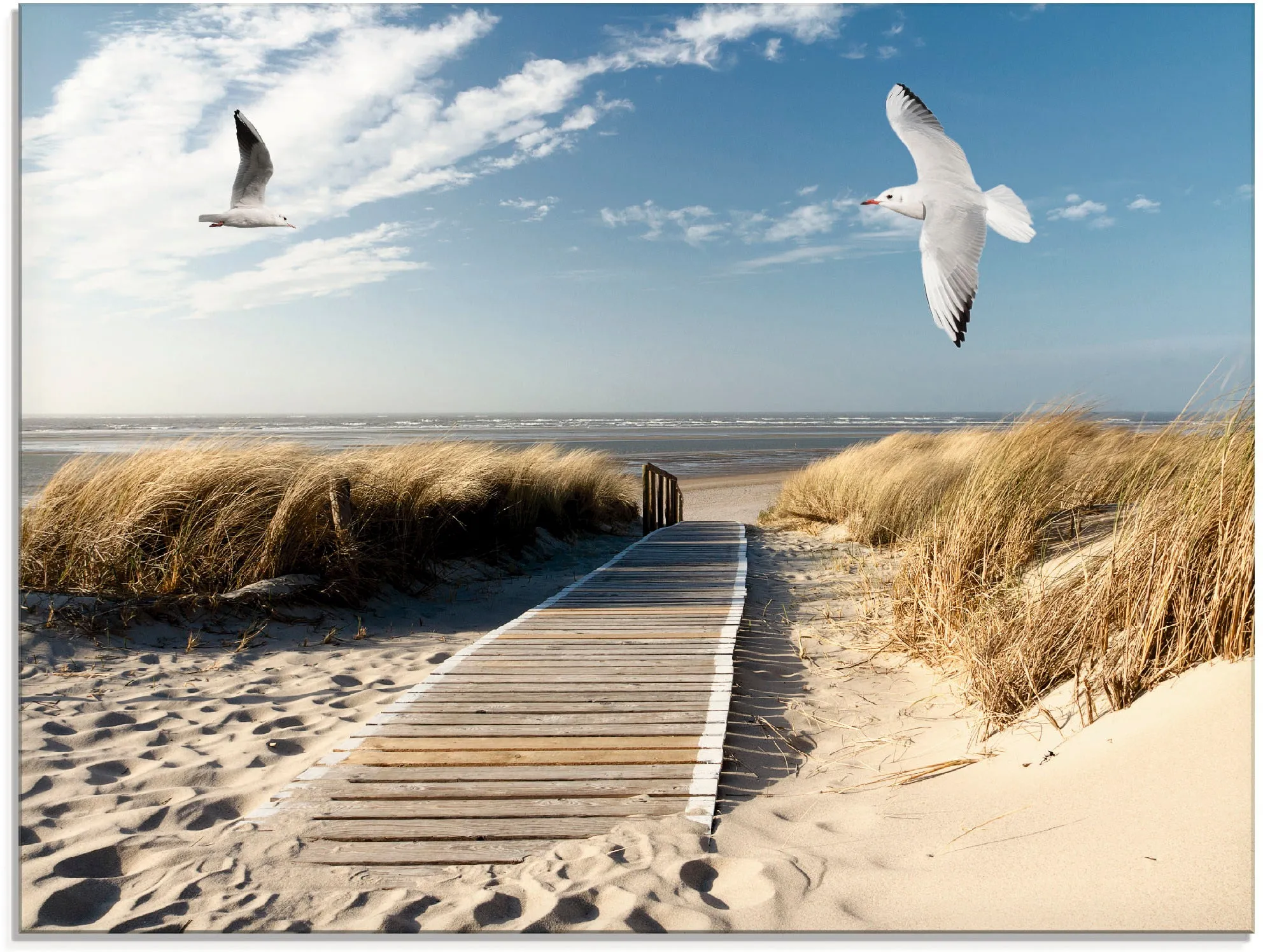 Glasbild »Nordseestrand auf Langeoog mit Möwen«, Strand, (1 St.), in verschiedenen Größen, 31366705-0 blau B/H: 60 cm x 45 cm