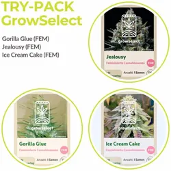 Try Pack GrowSelect | Feminisiert | 3 Samen