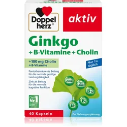 Doppelherz Ginkgo + B-Vitamine + Cholin Kapseln zur Förderung der geistigen Ausgeglichenheit 40 KAP