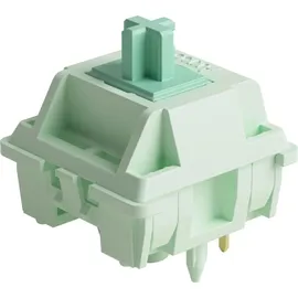 Akko MU01 Botany Switches US