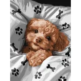 IDEYKA Niedlicher Maltipoo - Malen nach Zahlen für Erwachsene, einfaches Acryl-Malen nach Zahlen für Erwachsene, malen nach zahlen erwachsene mit rahmen,DIY-Malen nach Zahlen als Geschenk, 30х40cm