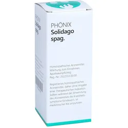 PHÖNIX SOLIDAGO spag.Mischung
