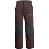 Jack Wolfskin Unisex Kinder Actamic 2l Ins Pants K Wanderhose, Boysenberry, 140 EU