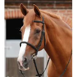 Trense Premier Equine Mossimo COB