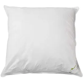 BettwarenShop Daunenkissen Exclusiv 40 x 40 cm Weiß