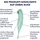 Satisfyer Twirling Pro Connect Appint 1 St