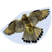 Günther Falke Drachen