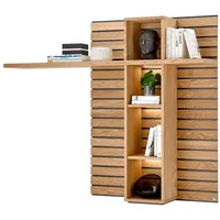 Set One by Musterring Jackson Wandpaneel 160 x 129 x 30 Braun