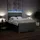vidaXL Boxspringbett 140 x 200 cm Hellgrau
