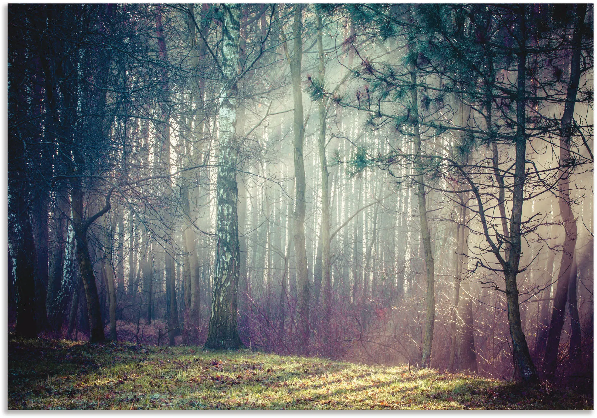 Artland Wandbild »Sonnenstrahlen im Wald«, Waldbilder, (1 St.), als Alubild, Outdoorbild, Leinwandbild in verschied. Größen Artland blau