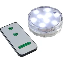 Star Trading LED Unterwasserlicht 1 St. transparent