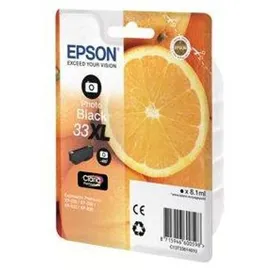 Epson 33XL photo schwarz