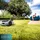Cecotec Conga GrassHopper 500