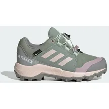 Adidas Terrex GTX Silver Green / Putty Mauve / Preloved Fig 32