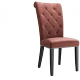 MIRJAN24 Stuhl Christina (1 Stück), Buchenholz, 47x68x103 cm rosa