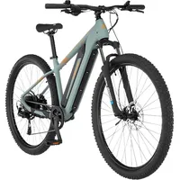 Fischer Montis 2.2 Active 29 Zoll RH 43 piniengrün matt