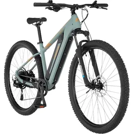 Fischer Montis 2.2 Active 29 Zoll RH 43 piniengrün matt