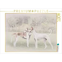 Calvendo Puzzle Ein Motiv aus dem Kalender Podencos 2017 1000 Teile Lege-Größe 64x48cm Foto-Puzzle für glückliche Stunden