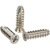 InLine 33371N 100er Pack Lüfterschraube, 5x16mm, vernickelt