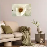 Queence Wandsticker White Love (1 St), Selbstklebend, kinderleichte Anbringung weiß 150 cm x 90 cm x 0,1 cm