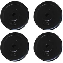 vidaXL Hantelscheiben Hantel-Set 4 Stk. 20 kg schwarz