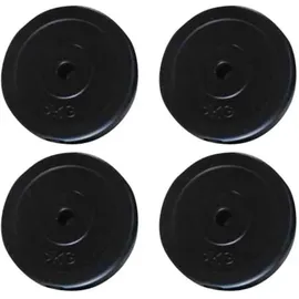 vidaXL Hantelscheiben Hantel-Set 4 Stk. 20 kg schwarz