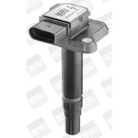 BorgWarner (Beru) Beru Zündspule