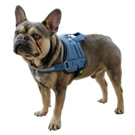 Kerbl Geschirr Maestro 2.0