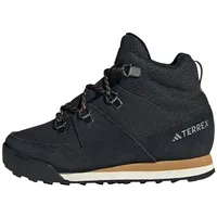 Adidas Terrex Snowpitch COLD.RDY Core Black / Core Black / Mesa 36