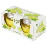 HS Candle Duftkerze Macaron Kerzen 2er Pack Mint & Limes