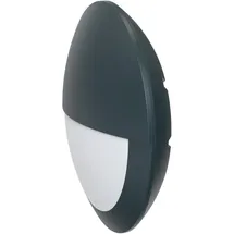 EVN Lichttechnik Außenwandleuchte Kunststoff IP65 1070 lm anthrazit