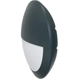 EVN Lichttechnik Außenwandleuchte Kunststoff IP65 1070 lm anthrazit