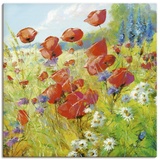 ARTland Leinwandbild, »Sommerwiese mit Mohnblumen«, Größe: 70x70 cm