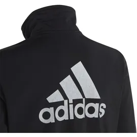 adidas Mädchen Trainingsanzug Essentials Big Logo Tracksuit IB8905 170 - Black/White - 170