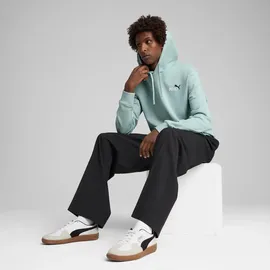 Puma Essentials 2 Color Small No. 1 Logo French Terry Hoodie Herren 67 modern mint XL