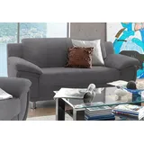TRENDMANUFAKTUR Couch Kunstleder 2-Sitzer Grau