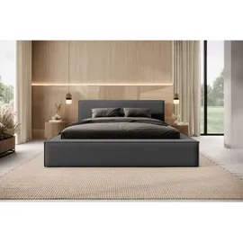 FEDVE Polsterbett, Graphit, Textil, 200x200 cm, Schlafzimmer, Betten, Polsterbetten