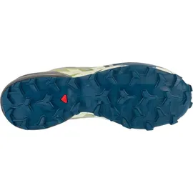 Salomon Speedcross 6 Herren Castlerock/Lime Cream/Poseidon 46 2/3