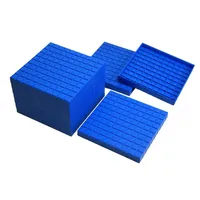 Wissner 039588.K00 aktiv lernen-10 Dienes Hunderterplatten-RE-Plastic°, blau