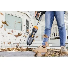Worx WG543E.9 PowerShare 20 V Solo