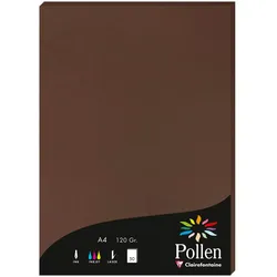 Pollen 10x Papier A4 Pollen 120g 50 Blatt - Kakao 4202C
